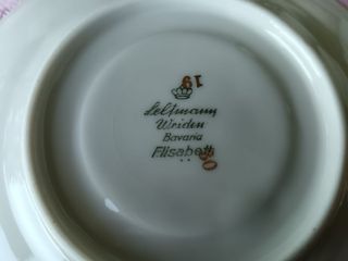 5 Tazzine Seltmann Weiden Elisabeth