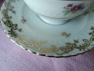 5 Tazzine Seltmann Weiden Elisabeth