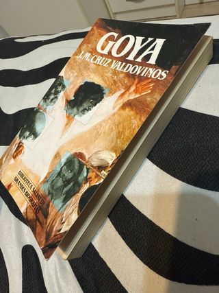 Libro Goya J.M. Valdovinos