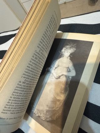 Libro Goya J.M. Valdovinos