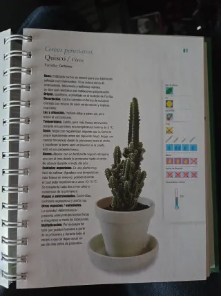 Manual de las plantas de interior: Crea un herm...