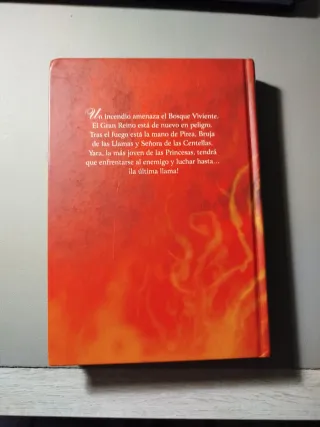 Bruja de las llamas: Princesas del Reino de la ...