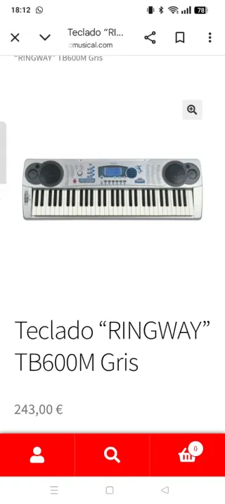 Teclado Ringway TB600M con soporte