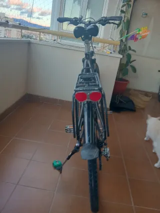 Bicicleta Raleigh Trekking. Rush hour 2.0 HS