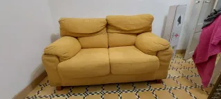 Sofá de 2 plazas