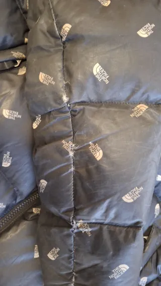 Chaqueta The North Face Negra Plumas