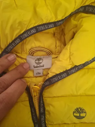 Chaqueta niño Timberland amarilla