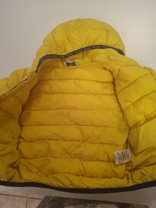 Chaqueta niño Timberland amarilla