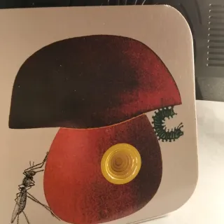 Bruco Verde Trai ghiacci