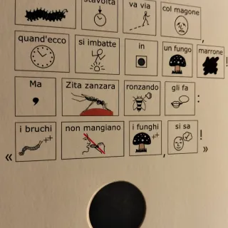 Bruco Verde Trai ghiacci