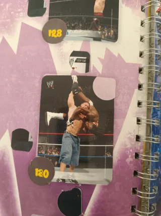 Album Raccolta Card Wrestling Walk Safari