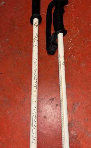 Bastoni da sci Blizzard