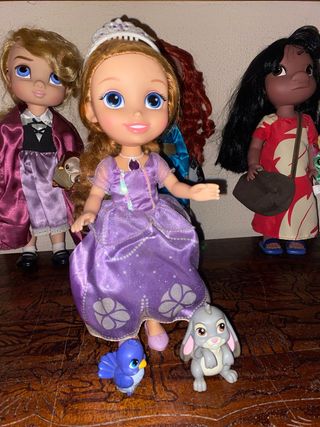 Muñeca Princesa Sofía con accesorios