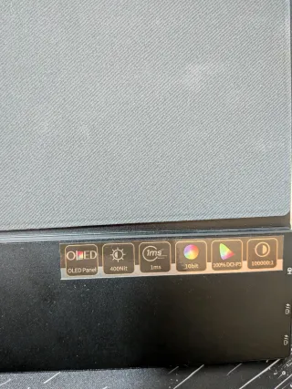 Monitor OLED 13,3 pollici Nero