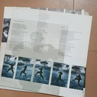 LP Vinilo Sting - The Dream of the Blue Turtles