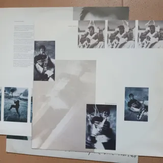 LP Vinilo Sting - The Dream of the Blue Turtles