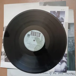 LP Vinilo Sting - The Dream of the Blue Turtles