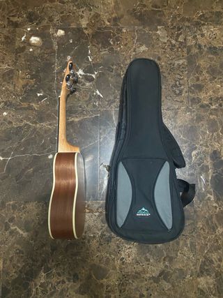 Guitarra marrón con funda