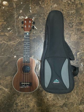 Guitarra marrón con funda