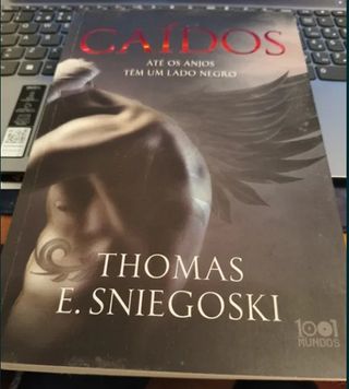 Caídos, em bom estado - Thomas E. Sniegoski