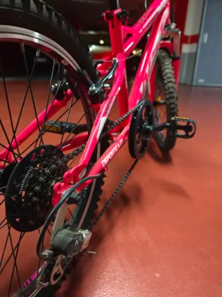 Bicicleta infantil 20 pulgadas