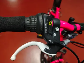 Bicicleta infantil 20 pulgadas