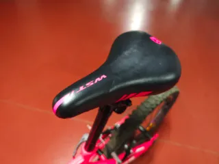 Bicicleta infantil 20 pulgadas