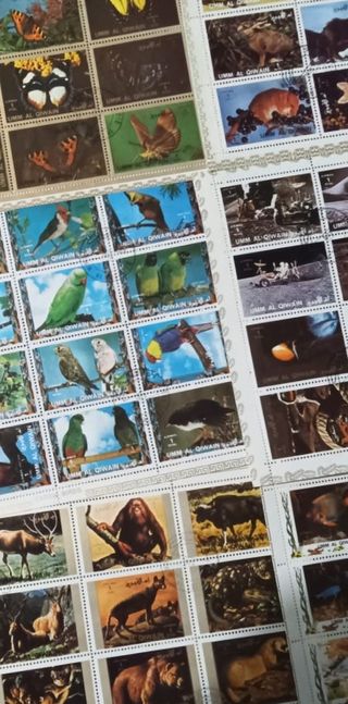 box lotto bolli foglietti 800 francobolli diversi