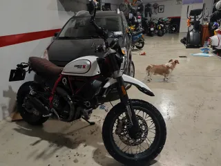 Ducati Scrambler Desert Sled