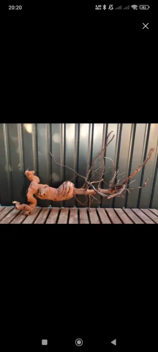 Raíz/tronco XL Decoración acuario OFERTA DOLO HOY!