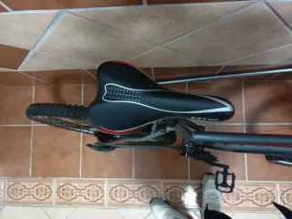 Bicicleta de montaña Montia STW25