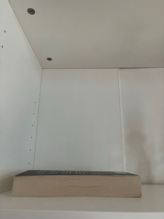 The god and the gumiho libro en inglés