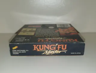 Kung Fu Master Game Boy Nintendo