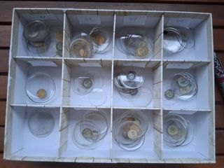 Consegna di vetri per orologi antichi