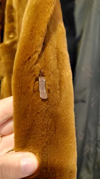 Abrigo corto marrón