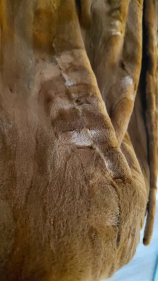 Abrigo corto marrón