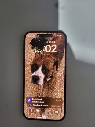 iPhone 13 Pro - Placa base rota iphone 14 pro -