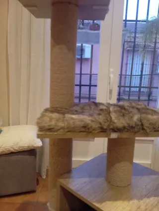 Rascador casita para gatos de varios niveles
