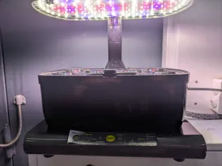 Aerogarden Harvest Hidropónico Cultivo