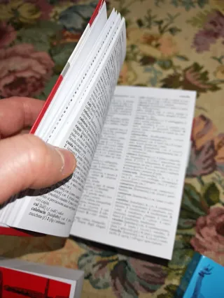 Dizionario di spagnolo. Ediz. bilingue