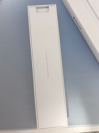 Apple Pencil 1ª Gen para iPad