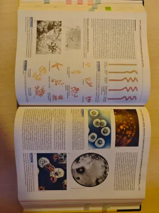 Brock, Biologia de Los Microorganismos, 10 edic...