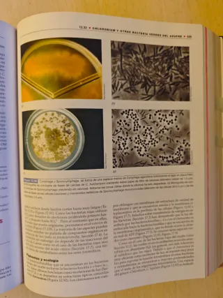 Brock, Biologia de Los Microorganismos, 10 edic...