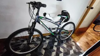 Bicicleta de montaña INDOOR