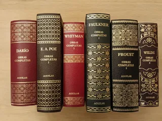 Lote de 6 libros de literatura clásica.