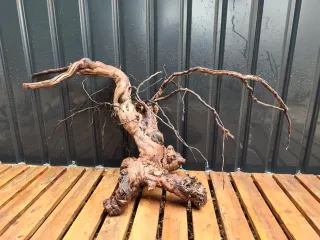 Raíz/tronco Decoración acuario OFERTA SOLO HOY!