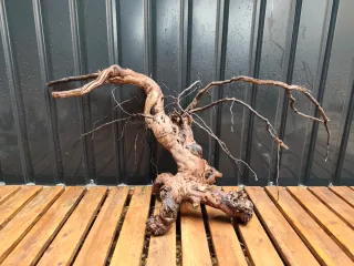 Raíz/tronco Decoración acuario OFERTA SOLO HOY!