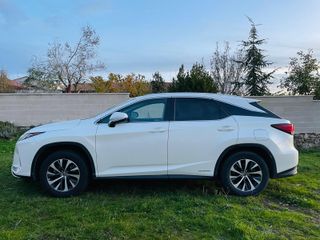 LEXUS RX 450h BUSINESS (2020) – Hybrid V6