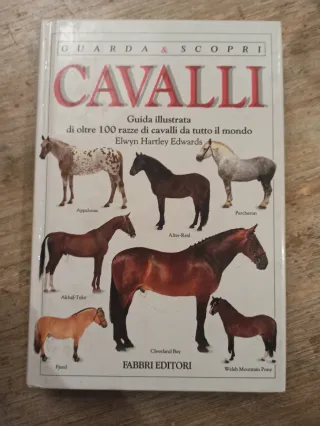 Un cavallo ribelle. Storie di cavalli