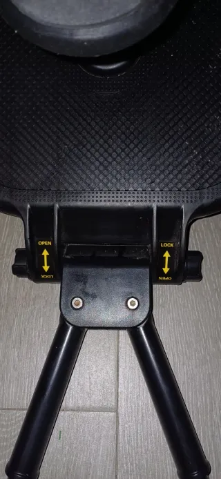 Carro de paseo y patín para hermano mayor